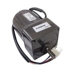 YN80-25 220V 250RPM AC Motor