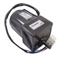 YN80-25 220V 17RPM AC Motor
