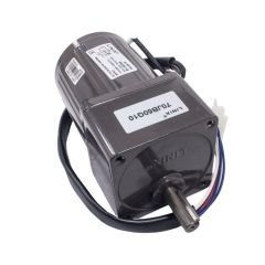 YN70-15 220V 25RPM AC Motor