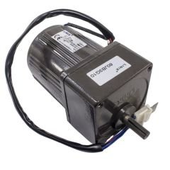 YN80-220-25 220V 420RPM AC Motor
